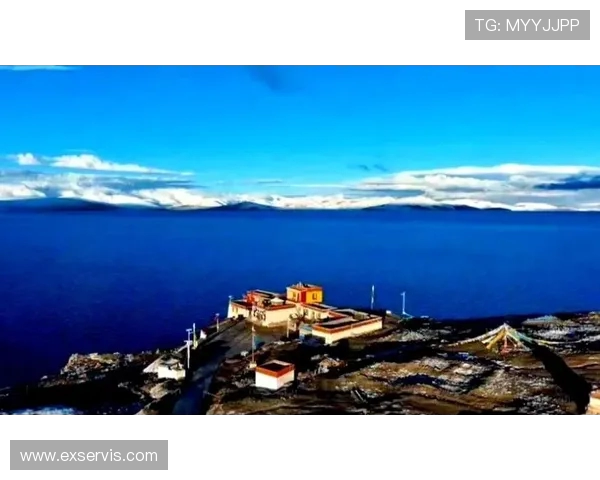 TES中路表现分析：突破与失误的双重考验与启示