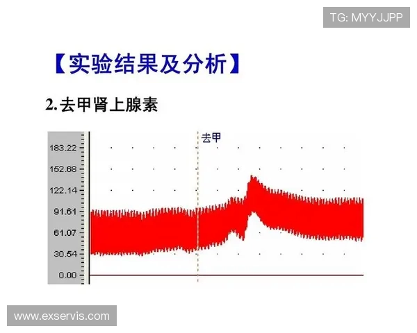 成都羽毛球队速度表现分析及其对比赛成绩的影响研究