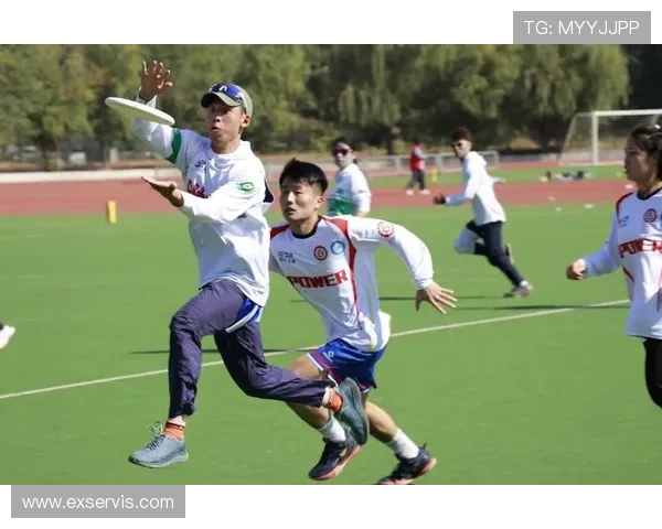 杭州飞盘队实力飙升再创佳绩引领飞盘运动新潮流