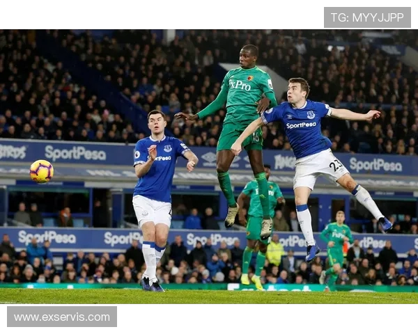 埃弗顿主场迎战沃特福德全方位分析及推荐策略 埃弗顿主场迎战沃特福德全方位分析及推荐策略