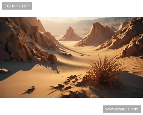 布莱克尼的神秘魅力与历史遗迹探索之旅 布莱克尼的神秘魅力与历史遗迹探索之旅